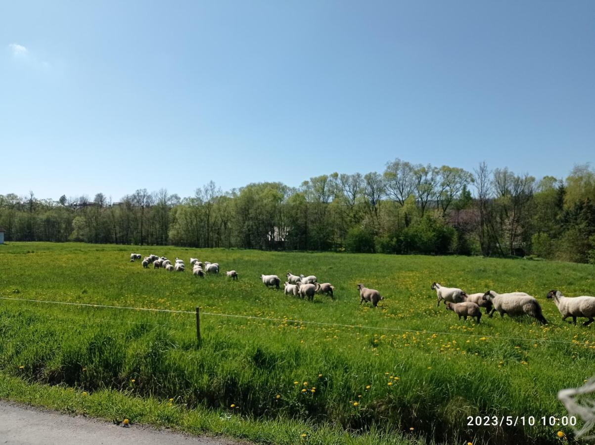 Gospodarstwo Agroturystyczne U Stasikow Spytkowice  Exterior foto